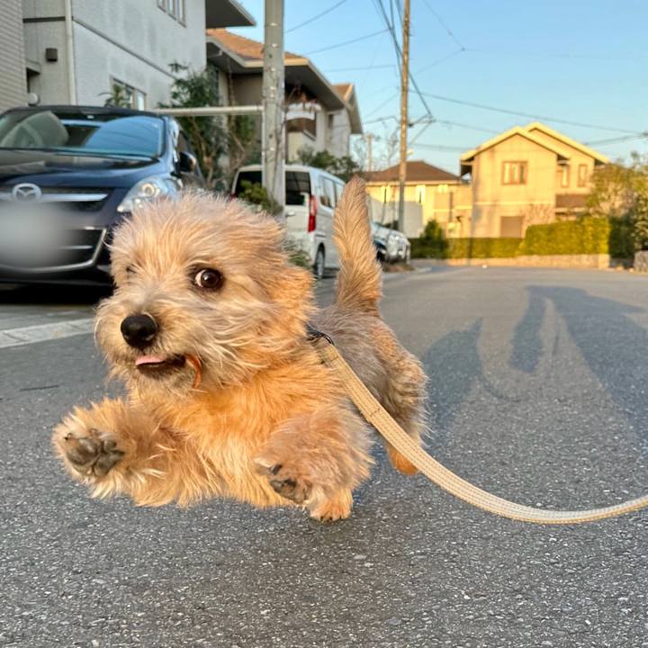 B7ec3d52 06fc 4223 aa79 38cdc91fd8eb 1709536505035