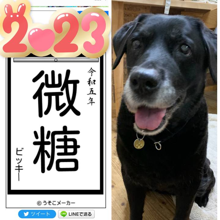 B7ec8bd8 4029 407d a2d7 9f505900aff9 1672818192650