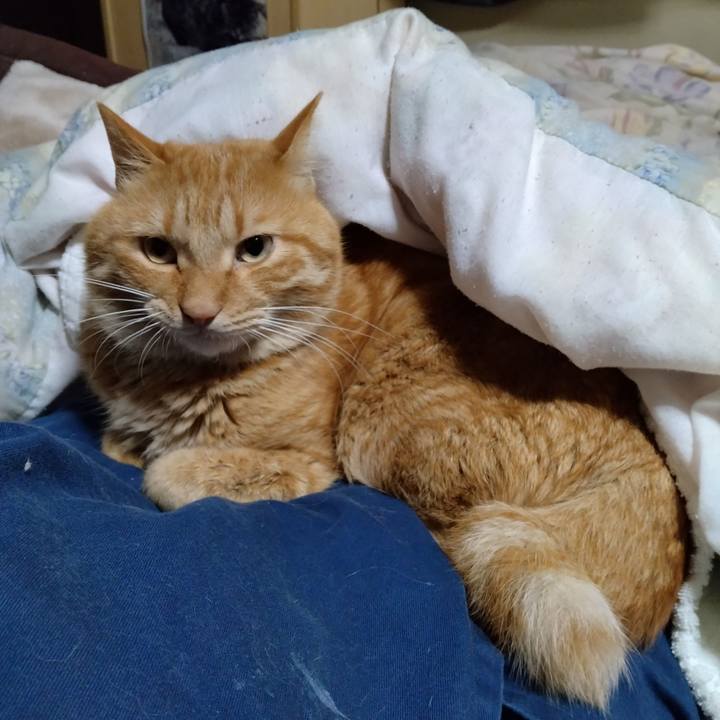 B7eca0fa 2d2a 4e3d 9b7a d64d866a0845 1699358062691