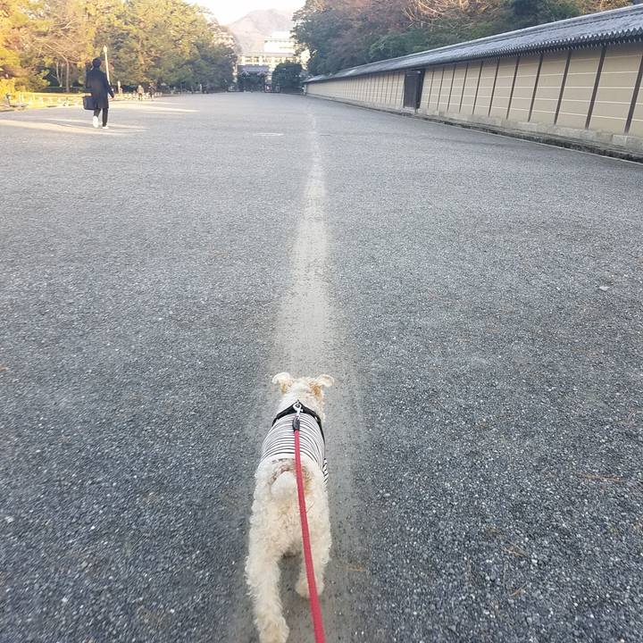 B7ecad6b 2c6e 40ae 8ca4 23b2afb0da77 1546599878812