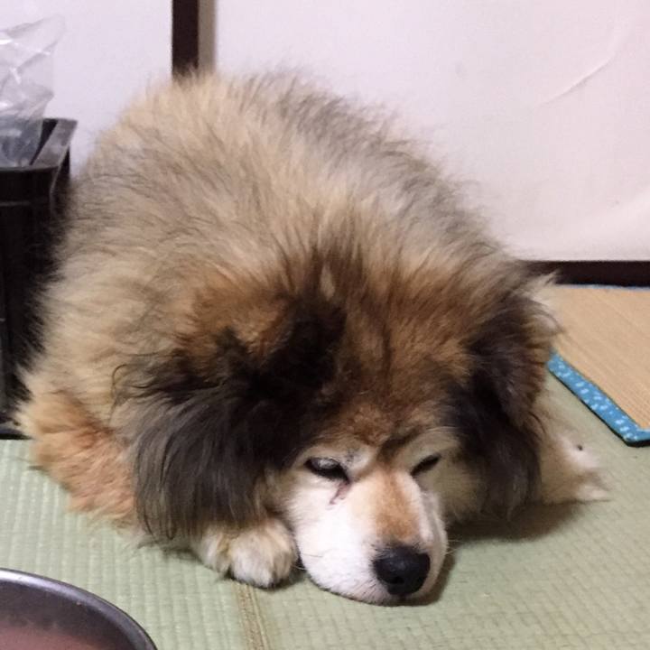 B7ece64d fca5 4d84 a0cf abf37928db01 1619506638573