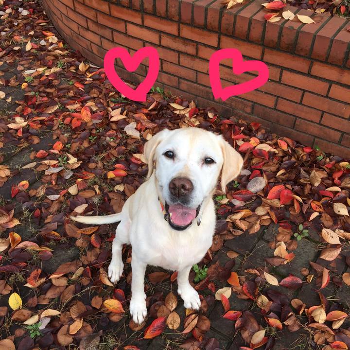 B7ed1ed8 d191 42f4 afb3 6ba880fa832b 1509878831087