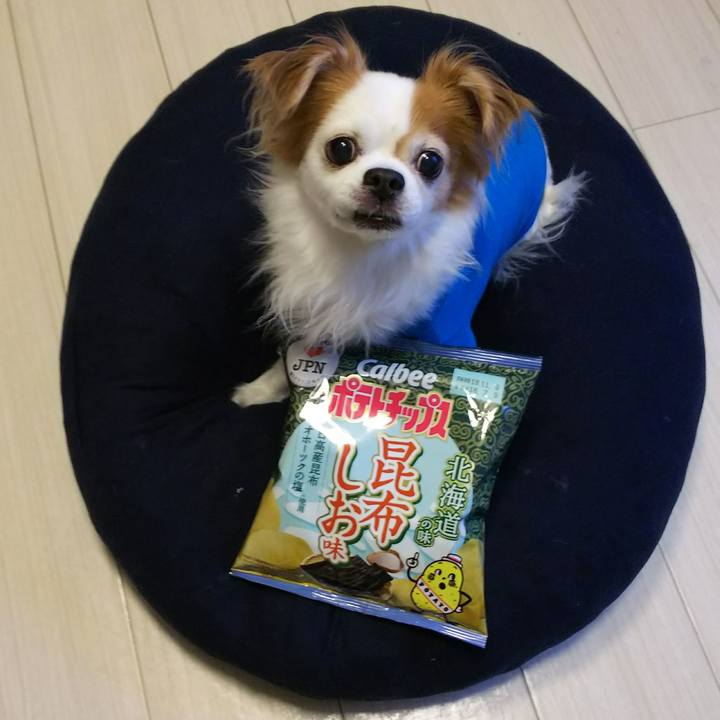 B7ed4d68 491e 43d6 a36a 9512bab8fe09 1531820493211