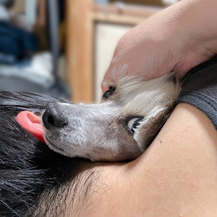 B7ed51a4 619d 49f7 be48 61f61d2817da 1771581569235