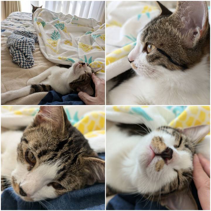 B7ed5aa7 5761 429a b458 50ff8e3a5cb3 1728436106668