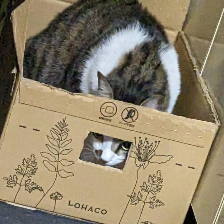 B7eda798 6210 4b43 8dfa 64a52eb0f7c4 1673010167825