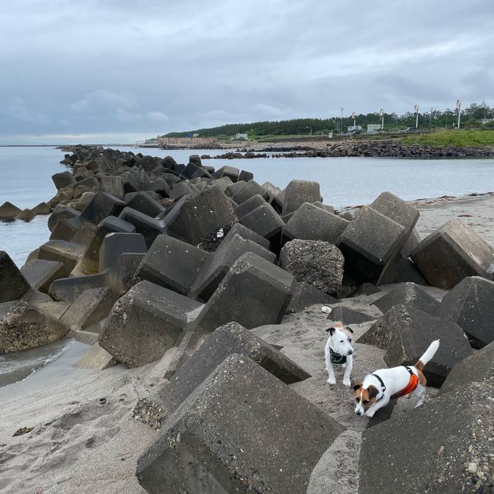 B7edb600 16df 4136 901a 660ad8b37049 1687479512168