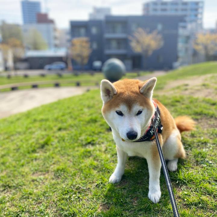 B7edbd48 6a71 4a34 808f 28ab765afa6d 1651809910922