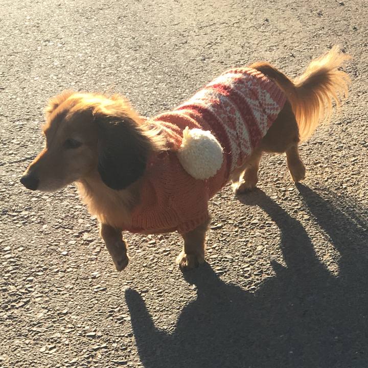 B7edbdc6 31ae 4f5a 9b00 a37d1c30e795 1516096736803