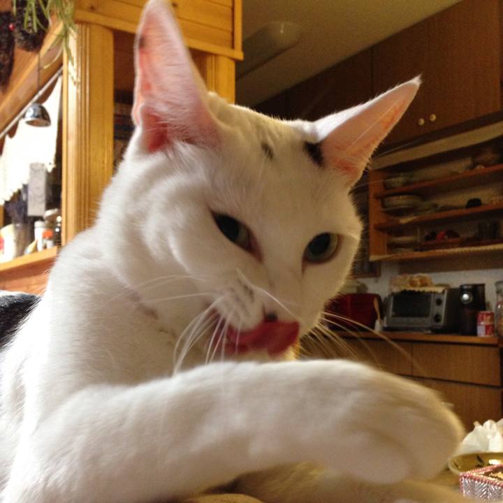 B7edc1dc 22b1 4e0b 81d2 719e893af5f1 1513082650449