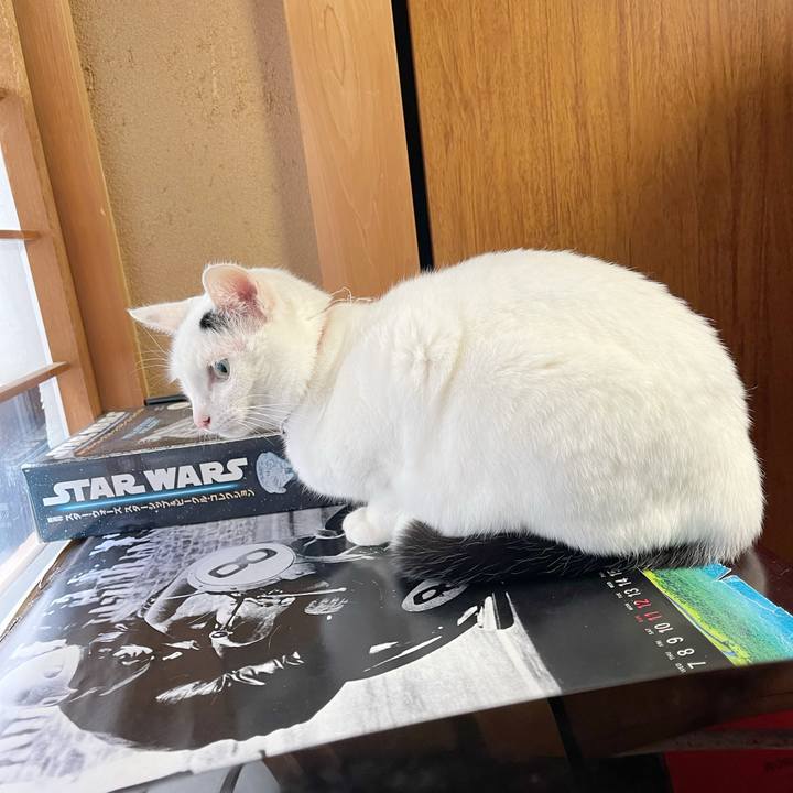 B7edd168 71df 4fa2 bbcc 6e73befcc836 1768777208928