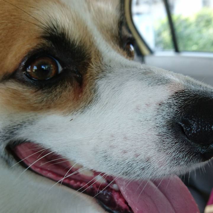 B7edd6b8 a3f1 4395 83e6 d98921b636a9 1599608271844