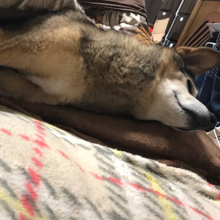 B7eddfec 8f11 40f2 9c1d 80d85a235efc 1550091037905