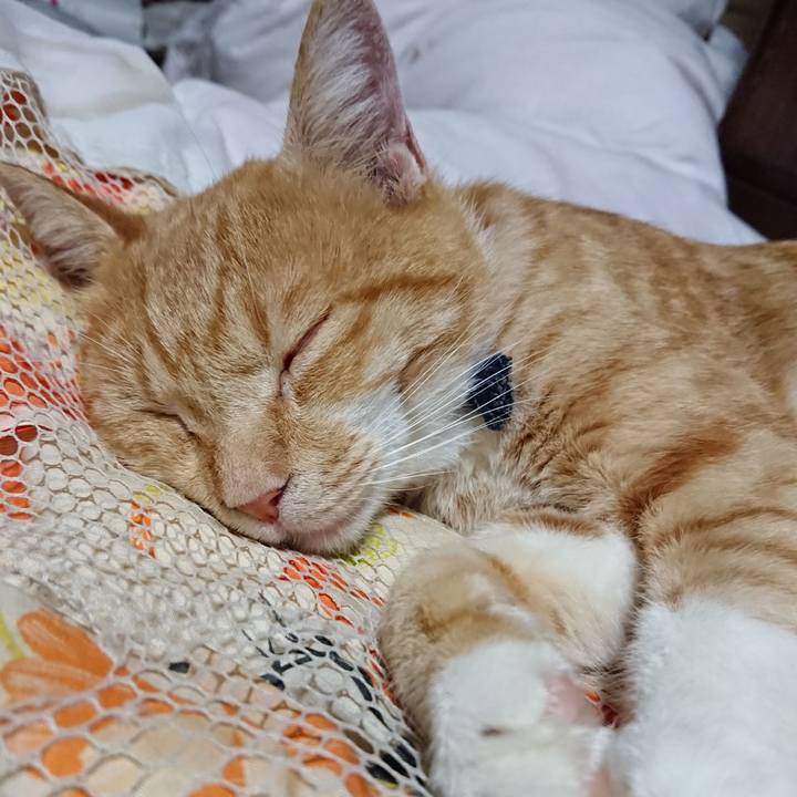 B7ede987 ace1 4be4 aa3a db824901421a 1567430719361