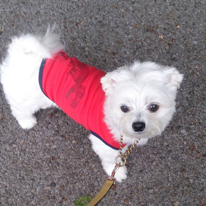 B7edfe34 de9c 411e afd3 0598123e5e42 1524731362391