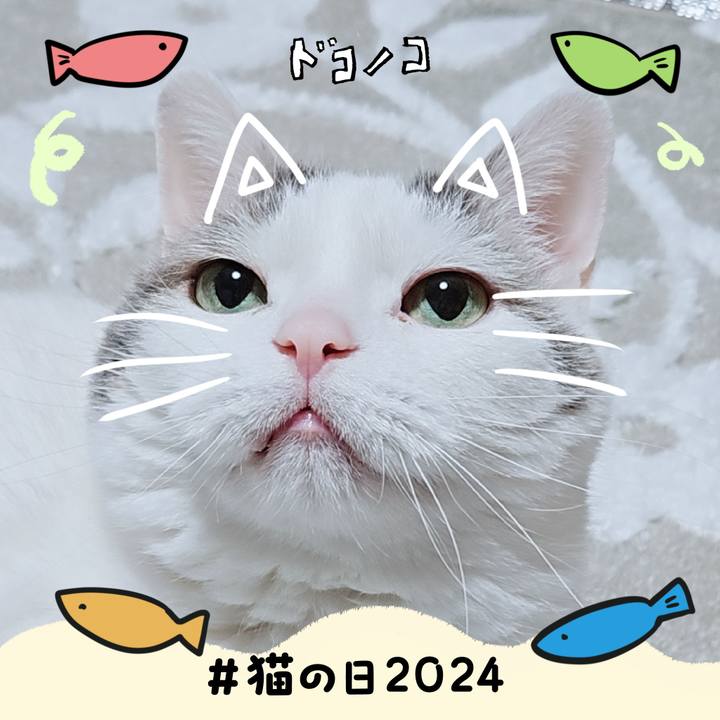 B7ee0802 3213 460b acf0 6e715df79e7f 1708595779640