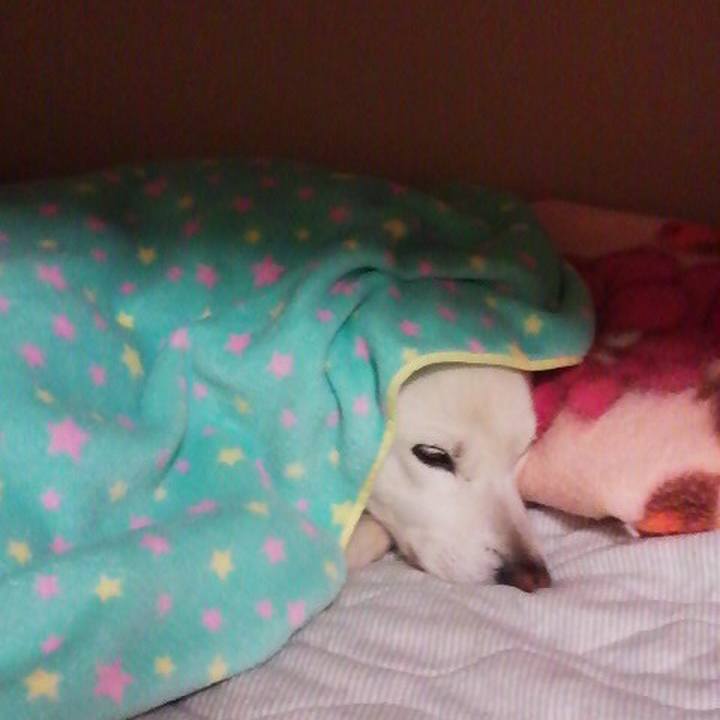 B7ee233b db26 4e91 ac11 5a648a9dfe52 1522933279188