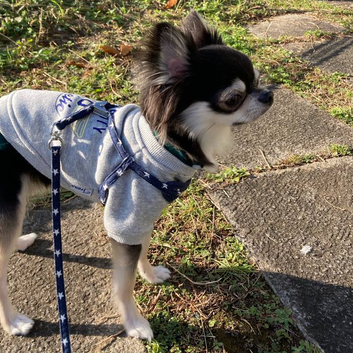 B7ee941a 2308 4567 8d09 e2568cde371a 1639198426449