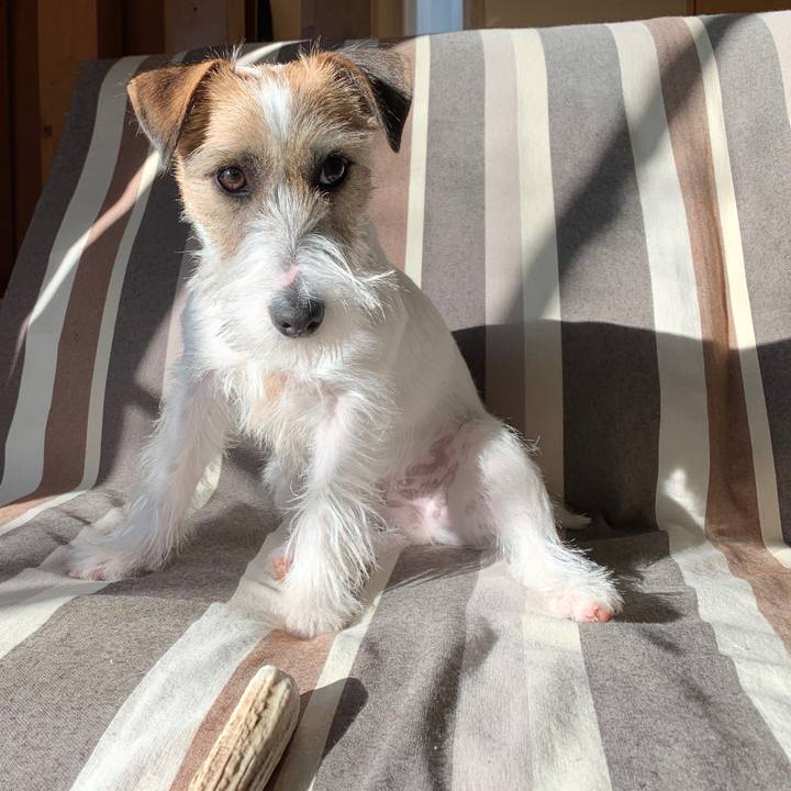 B7eeb0d7 09ad 4cda 8f10 4381f5d10349 1578960368936