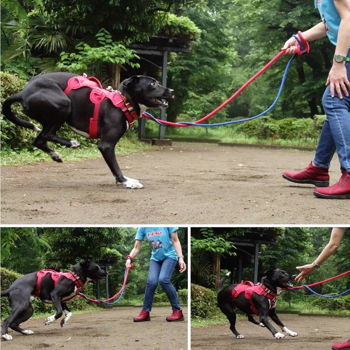 B7eed9e5 4da7 48a6 9271 a64eacabaa03 1591059147349