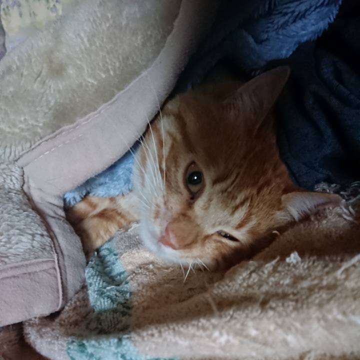 B7ef03fb 6a2d 4492 b294 a310ee16af08 1655069376750