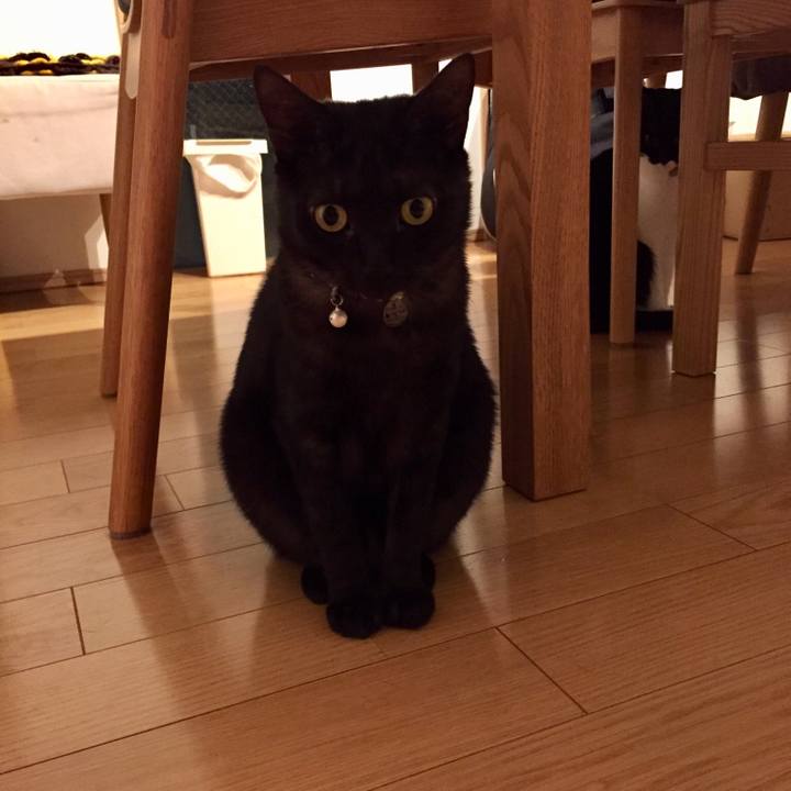 B7efc07d ff12 413e 884a 262b1e588929 1512232010488