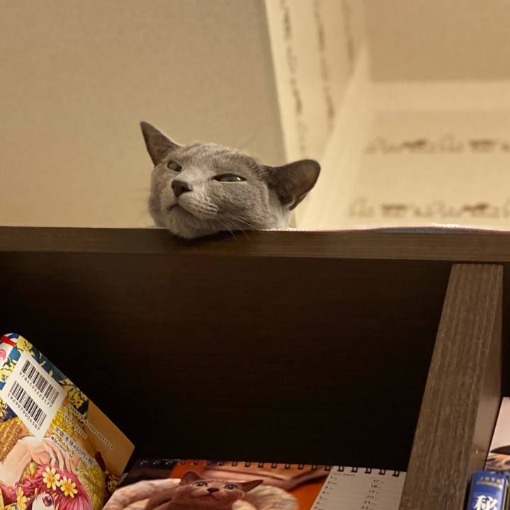 B7efd006 5c76 450f b42b 6079f6f5f400 1693747756022