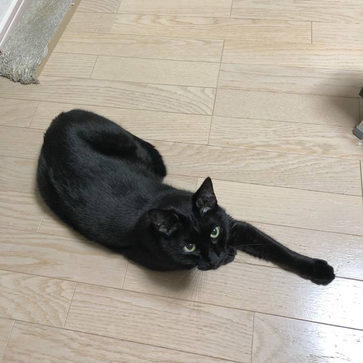 B7efd13f b9a1 4507 a527 f9416ef15602 1609159976886