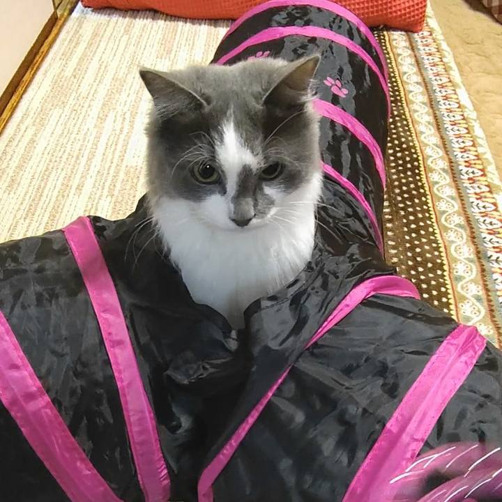 B7efd547 54f2 4d81 b366 f0549d4cab19 1579517827118