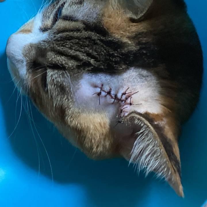 B7efdc74 e91c 489e b5e8 4d6623203cf5 1731920221569