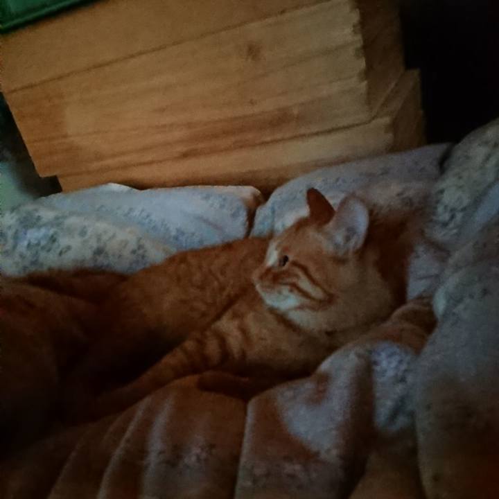 B7efed27 892f 4b5f 9140 a8423807a938 1662419733540