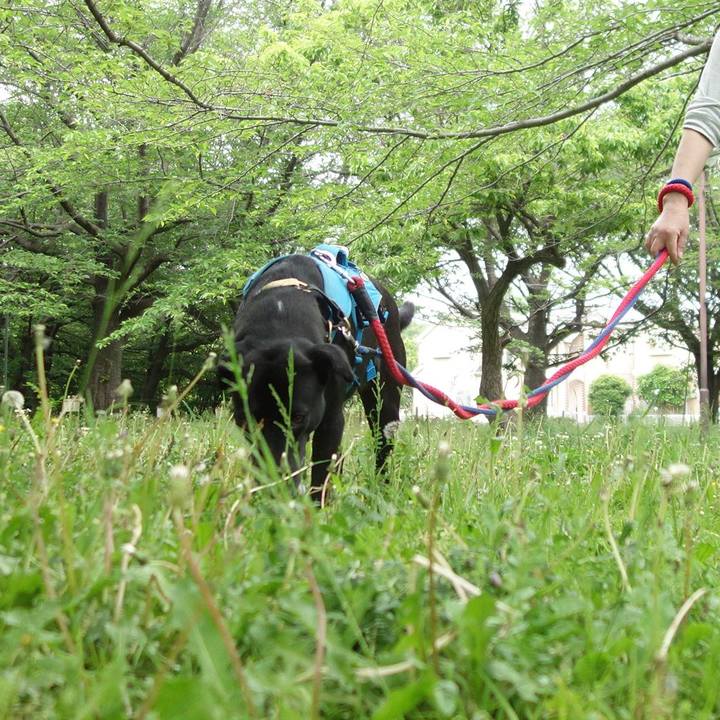 B7f00034 7c22 44e8 917a 0a415a9d3c9e 1620261298044