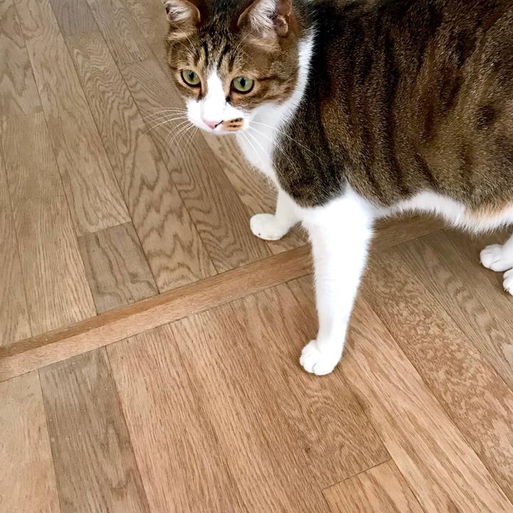 B7f00470 12f9 4d38 a240 92037c9b9607 1519115700961