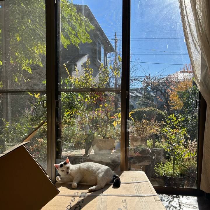 B7f0362f c6e9 4762 833c e5115de1e84d 1733459561154