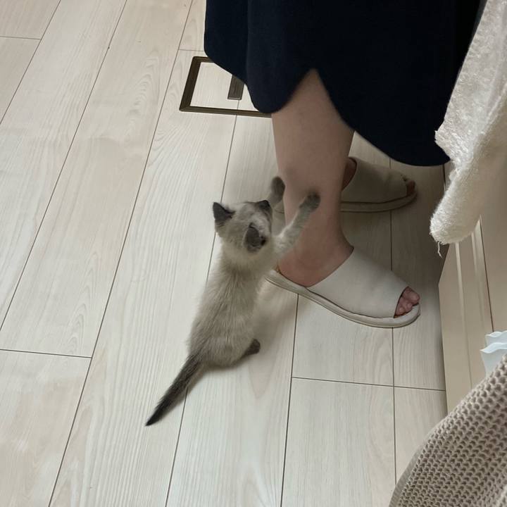 B7f0477e 2017 4a94 a748 1313cdcb50dc 1686659389164