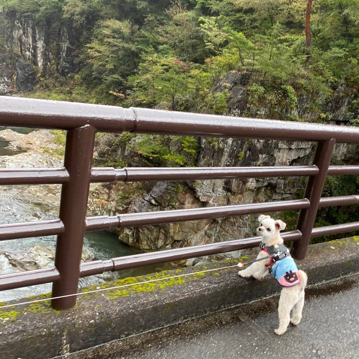 B7f0ded5 b46e 49fd 90b2 af62107c7497 1570344982638