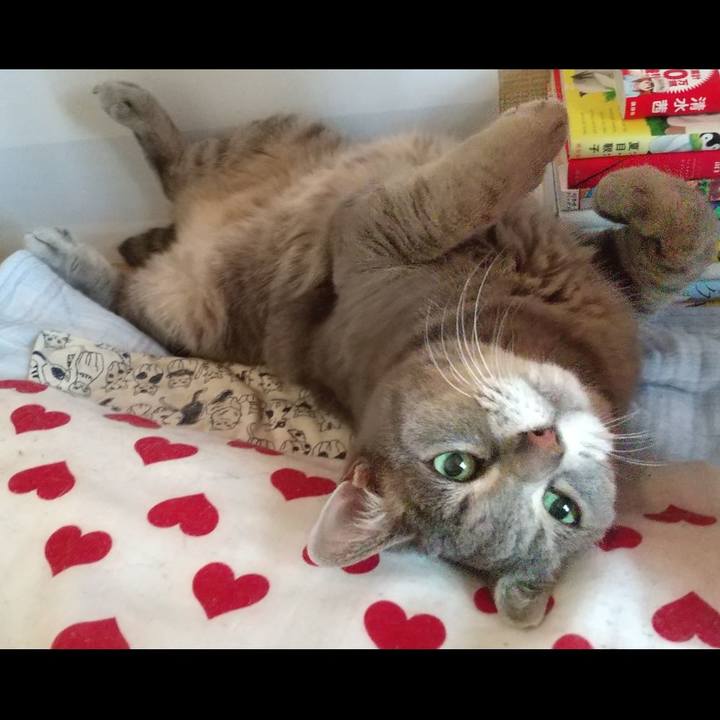 B7f0f114 fff3 4bdc 80c3 a92559df9ac6 1624330442337