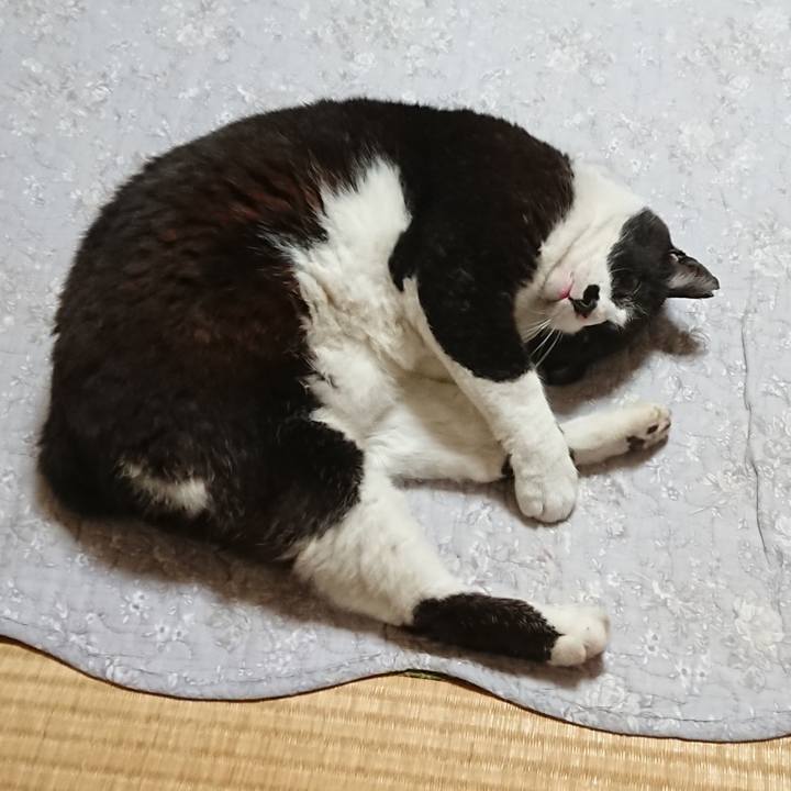 B7f0fa85 57f5 424f a44f 9cbf8ab2b94b 1620272044451