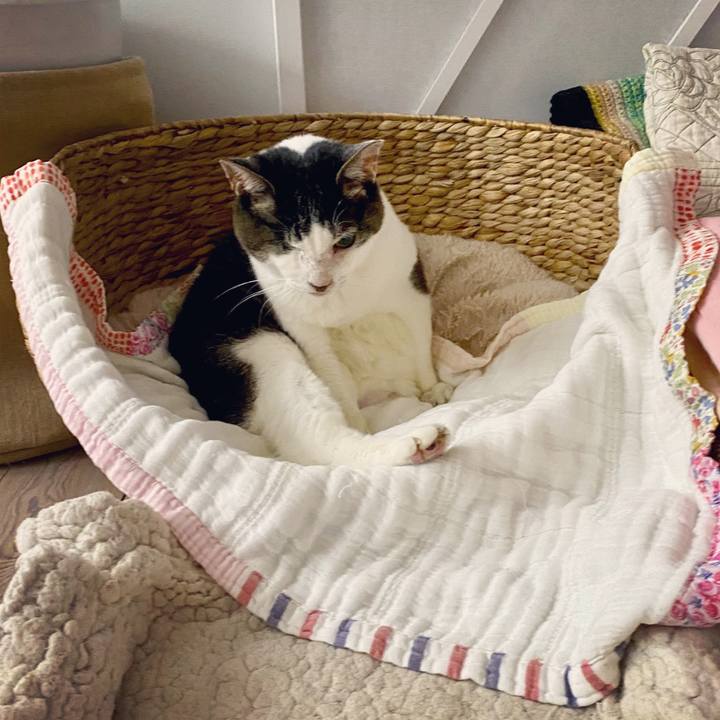 B7f10853 d0b0 454f 8e74 31af68a8bf00 1595173570537