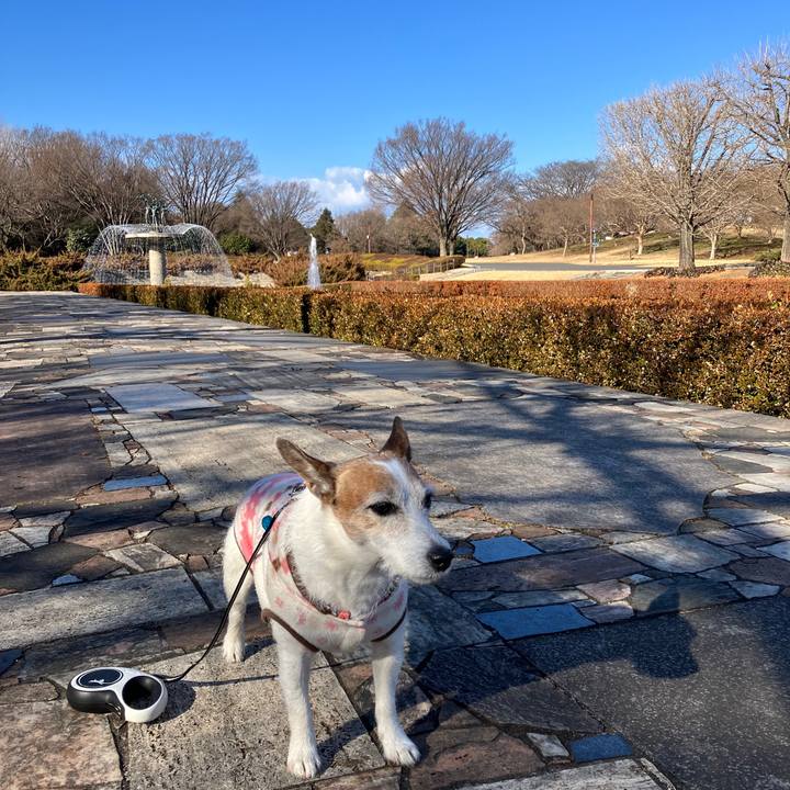 B7f10fc9 9cf4 40f5 9749 7d37a7b463b4 1705277550104