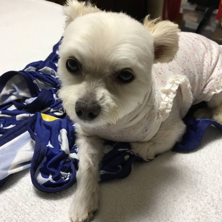 B7f168d1 ee2c 49db 8238 6489d3dcbbfa 1536931879501