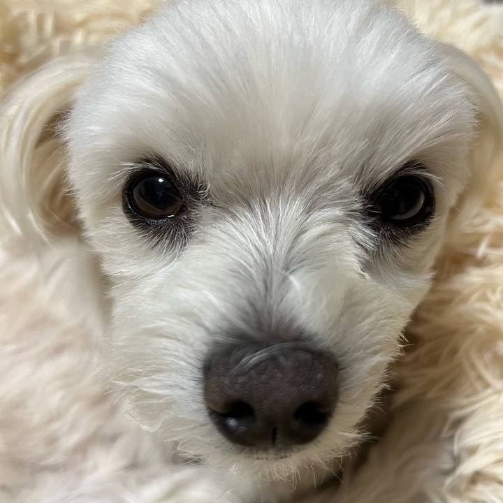 B7f1832a 088a 45db 9b9d 592f918d87f3 1667655429372