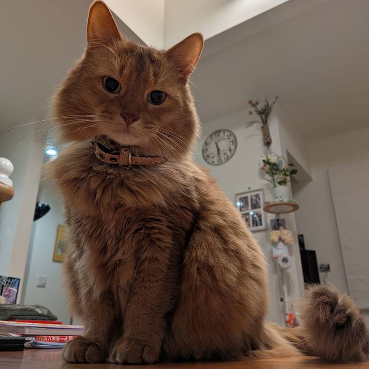 B7f1a62d bef0 4893 bfea eb77de6a046b 1769987780587