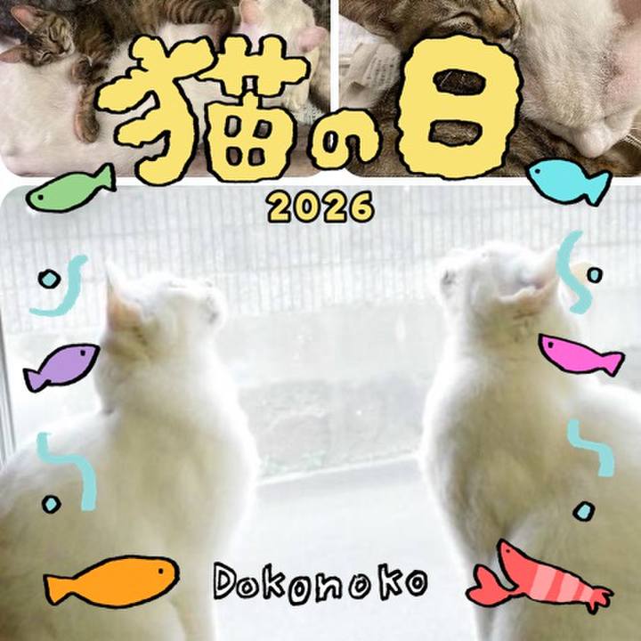 B7f1e822 6b99 4d80 a4c6 6f654734f2b0 1771693866437