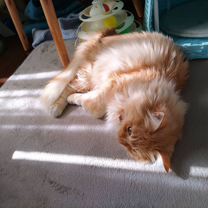 B7f1ffce f6b7 415d 8f51 9cb017409a81 1674185282687