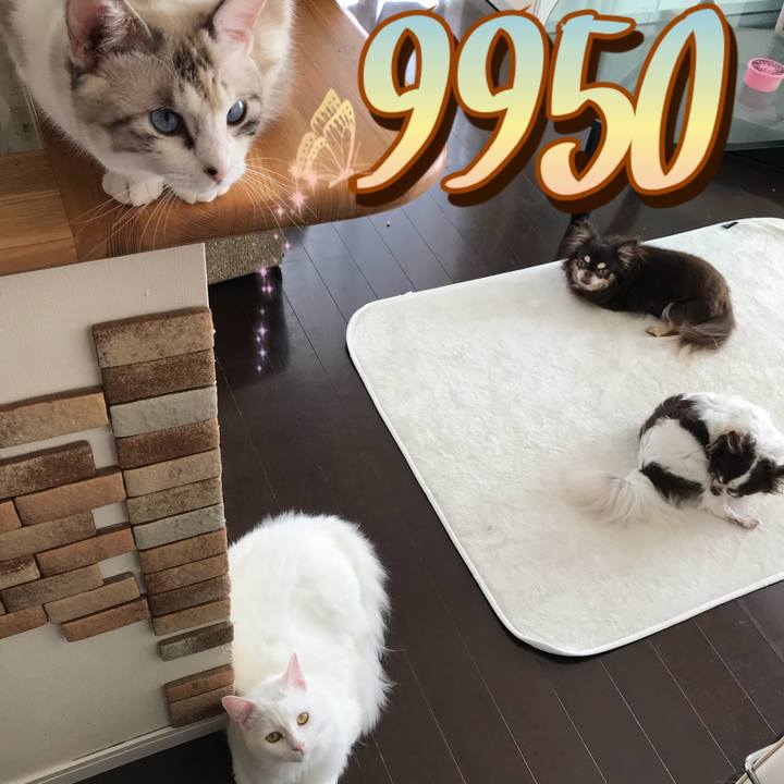 B7f202ae d6c0 4555 9129 08cd511826ce 1534943796416