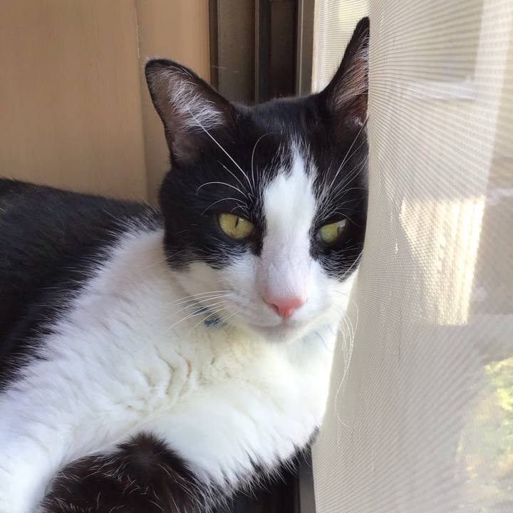 B7f210ca 2ce6 4a72 a035 8435a750aa49 1757321106504