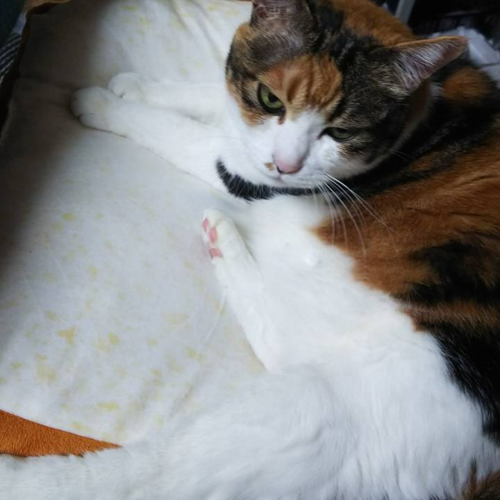 B7f2265e 8f02 4004 b3d5 27e9c77916ae 1528639852684