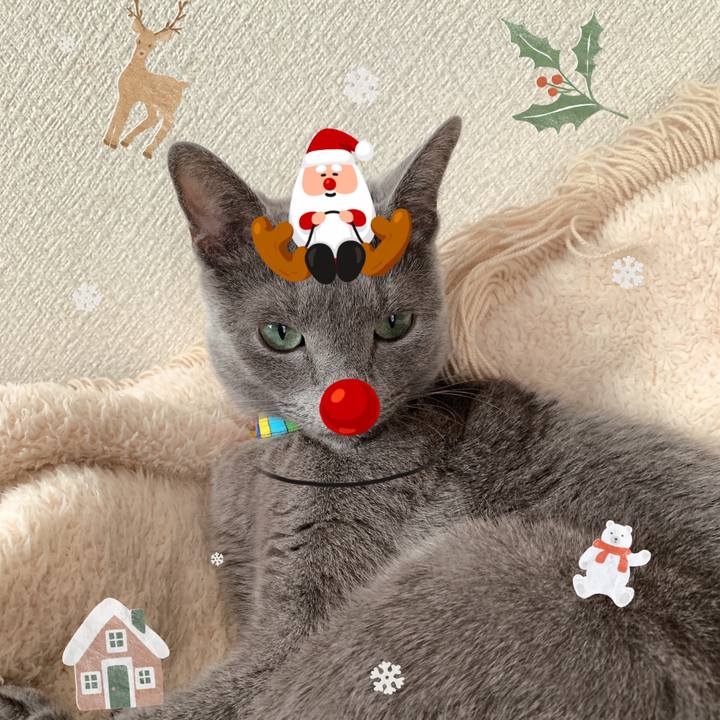 B7f23ecd 2919 4504 a256 19e466f70c77 1640428453322