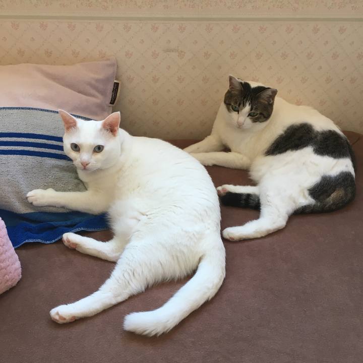 B7f24010 7056 4917 afb0 7c9c58032d6e 1534569877638